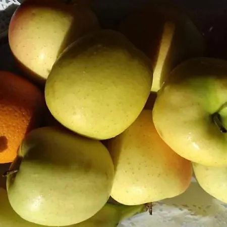 Ξενοδοχείο Acapulco Sul Mare 2*