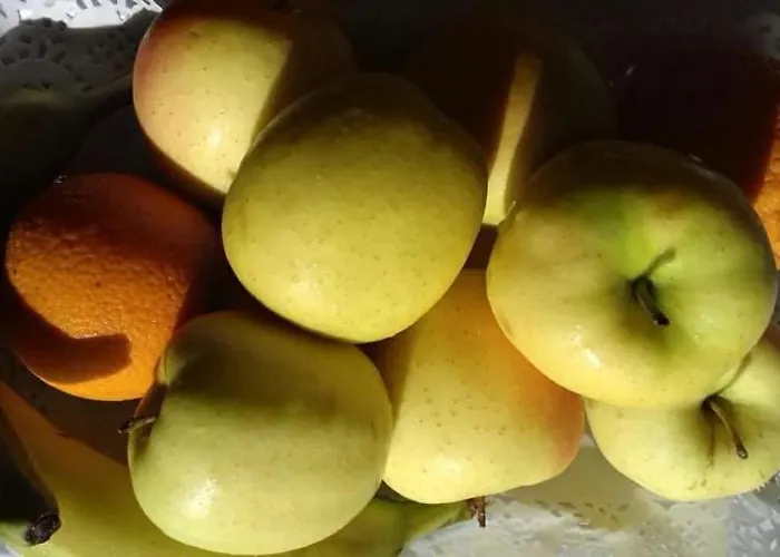 Hotel Acapulco Sul Mare 2*